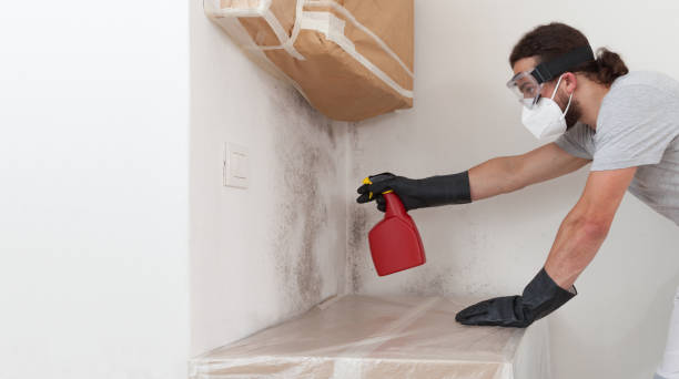 Professional Crawl Space Mold Remediation technician working in West Park, NJ